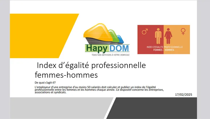 Index égalité professionnelle femmes-hommes (données 2024) Hapydom services à domicile